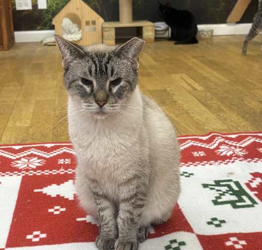Photo of Otis