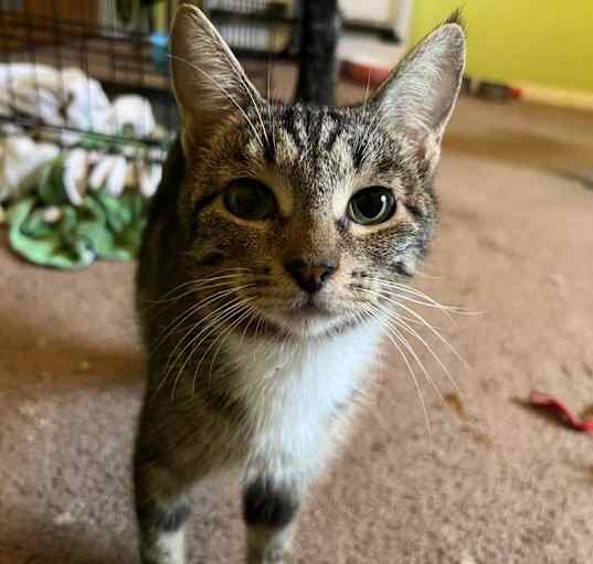 Photo of Miss Pretty