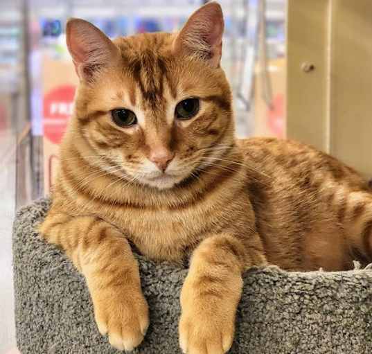 Photo of Jasper