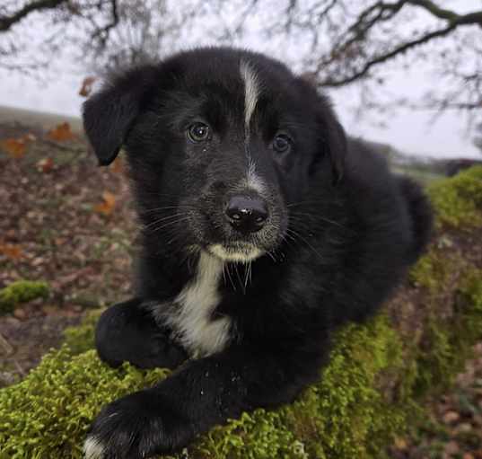 Photo of Clem