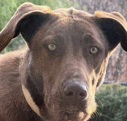 Photo of Mack