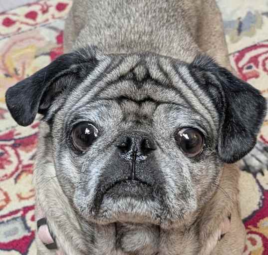 Photo of Buttons