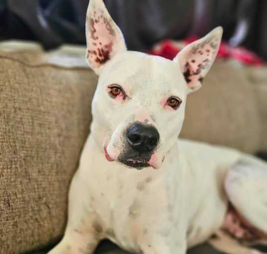 Photo of Max