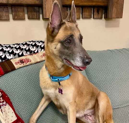 Photo of Bonnie - Located in Pennsylvania