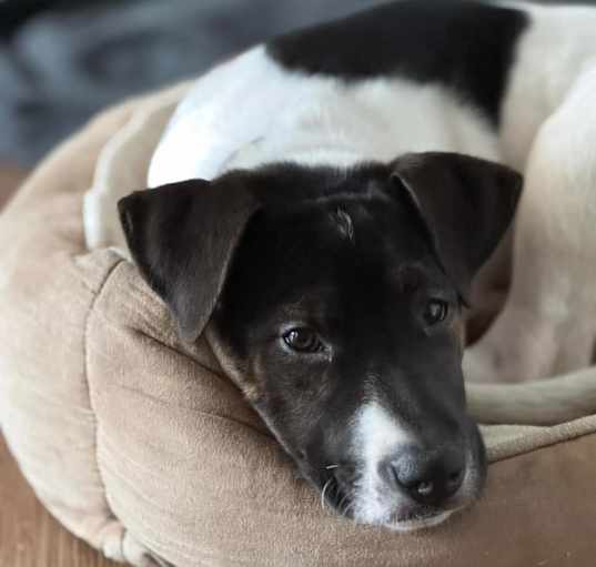Photo of Betty