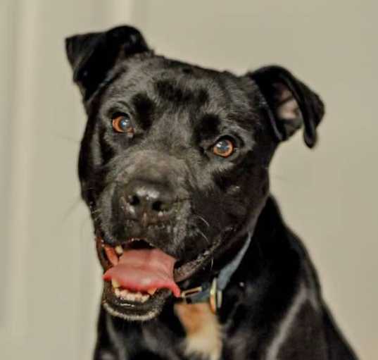 Photo of Finley