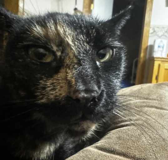 Photo of Eleanor