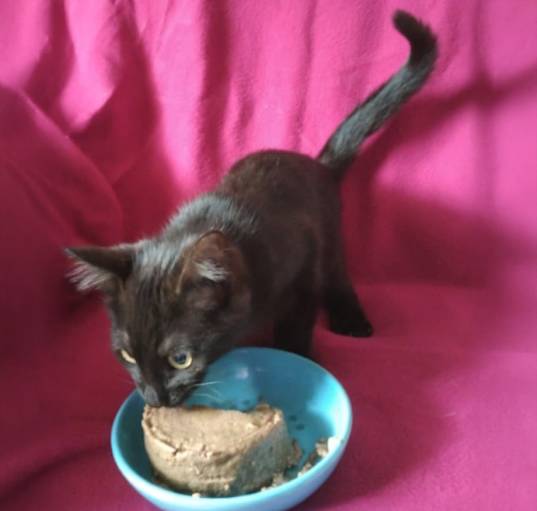 Photo of Elvira
