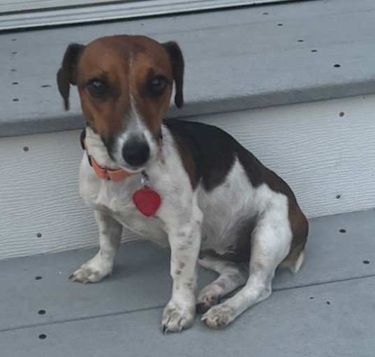 Photo of Jill *