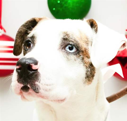Photo of BUMBLE