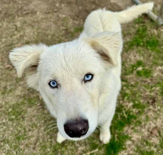 Photo of Finn
