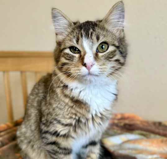 Photo of Barnaby