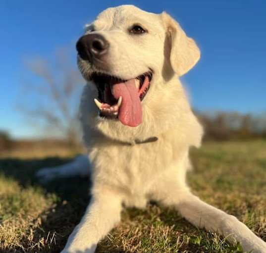Photo of Angel