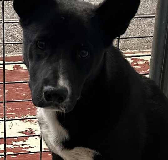 Photo of Kita