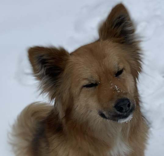Photo of Susie