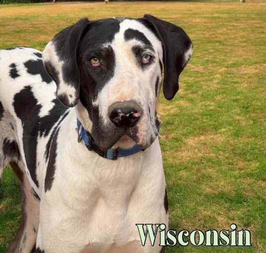 Photo of Wisconsin