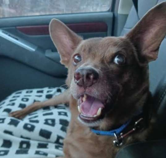 Photo of Cadbury