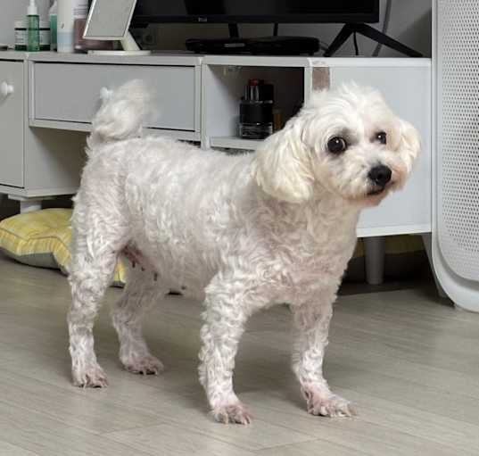 Photo of Qq