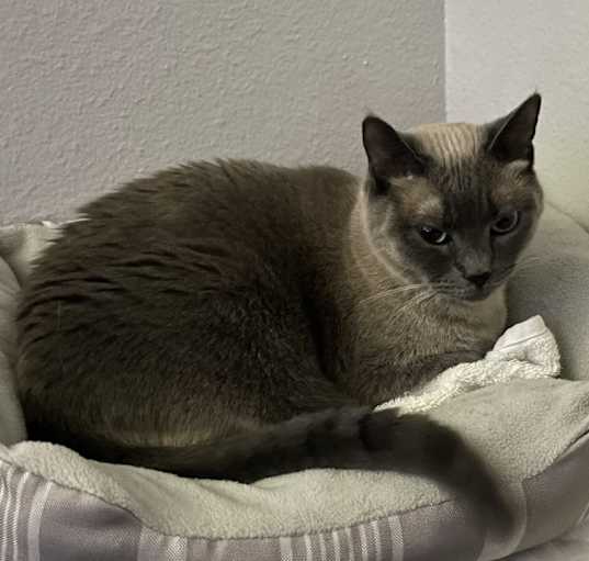 Photo of Mandy