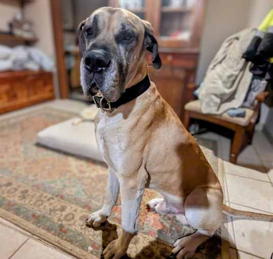 Photo of Duke