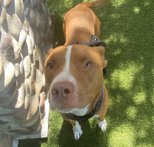 Photo of OTIS