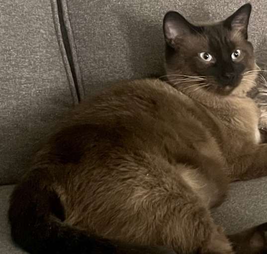 Photo of Smokey