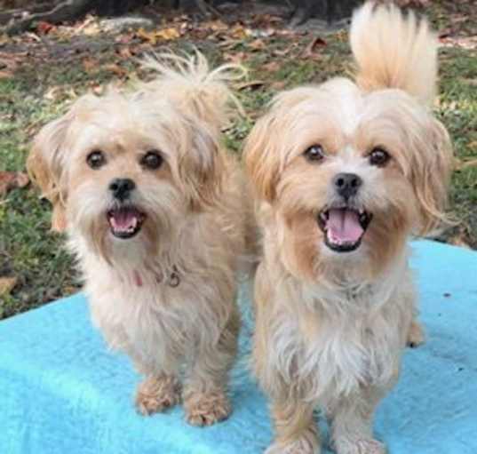 Photo of Vincent & Randall