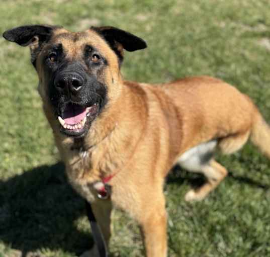 Photo of Champion
