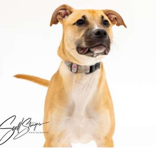 Photo of Avery