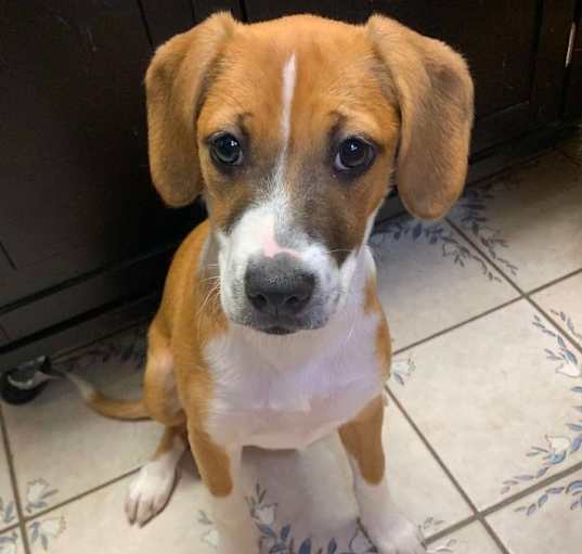 Photo of Sugar