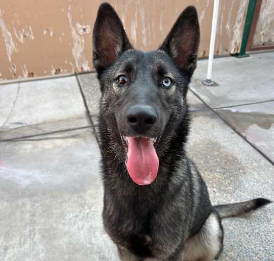 Photo of Zadie
