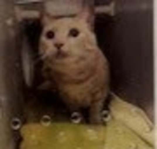 Photo of Matilda