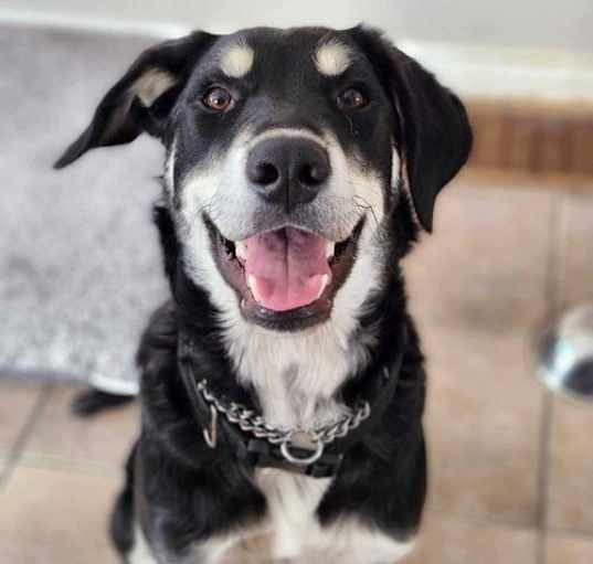 Photo of Reign