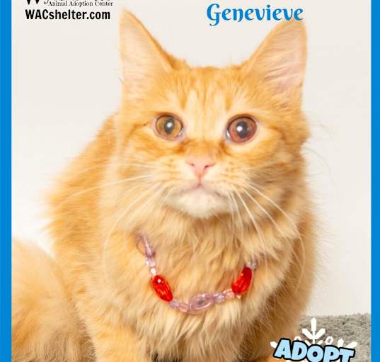 Photo of GENEVIEVE