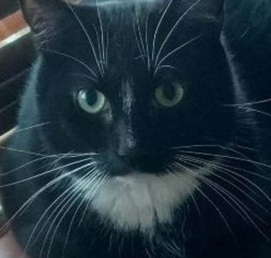 Photo of Decker