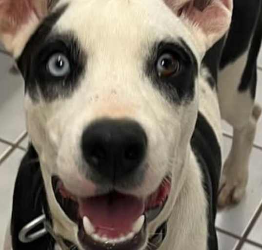Photo of DAISY