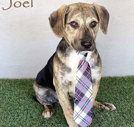 Photo of Joel