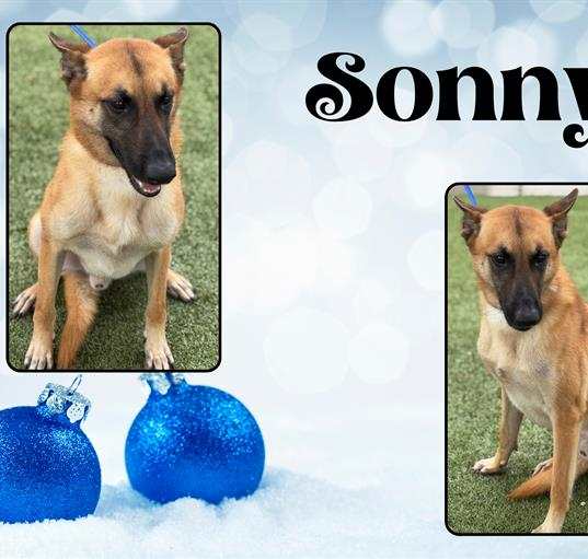 Photo of SONNY