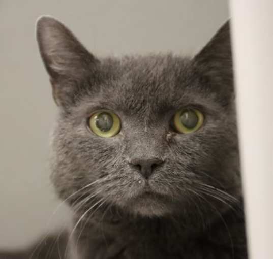 Photo of JAG