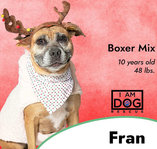 Photo of Fran