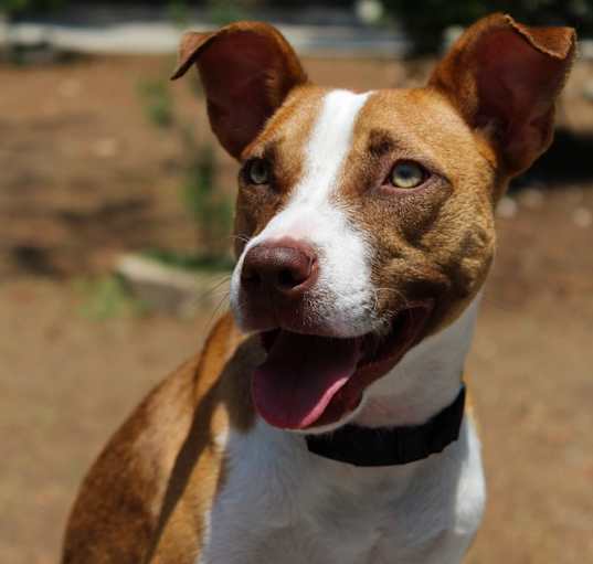 Photo of Molly
