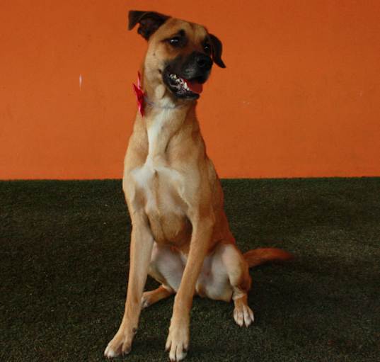 Photo of ASTRO