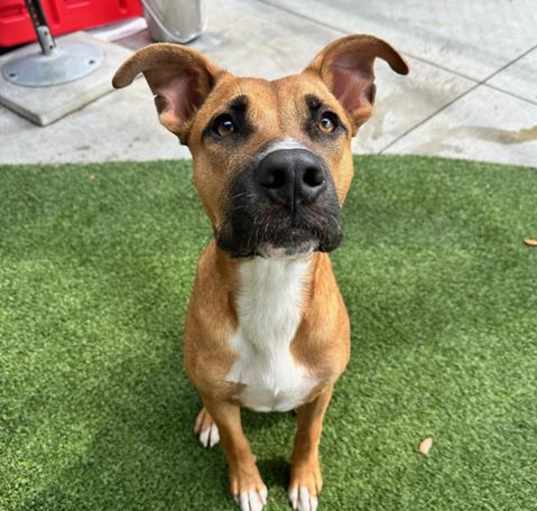 Photo of ASTRO