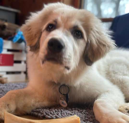 Photo of Bobbie Jo