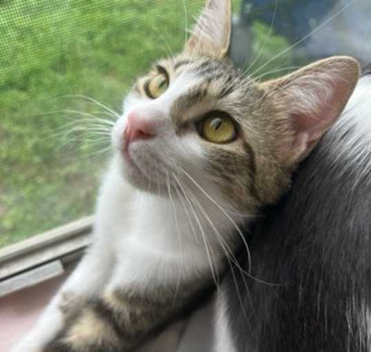 Photo of Delilah