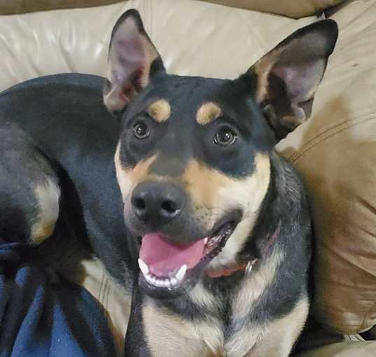 Photo of Jack