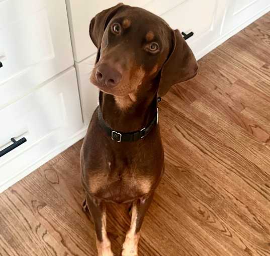 Photo of Monte