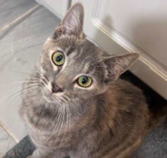 Photo of Molly