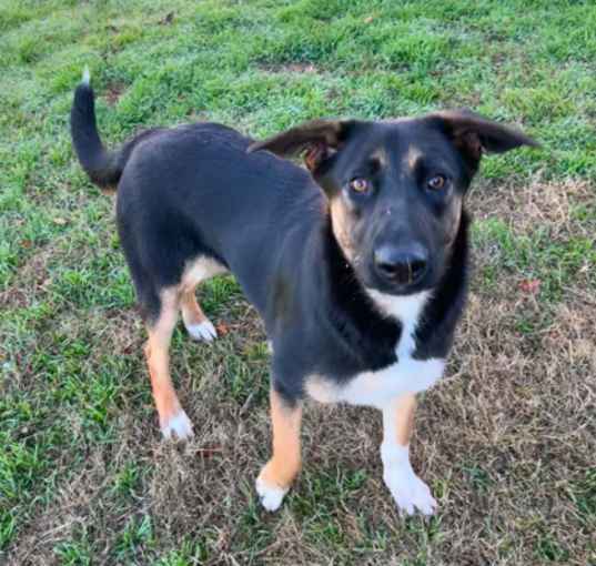 Photo of Kimber