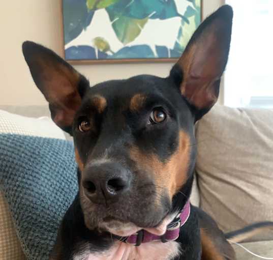 Photo of Cece